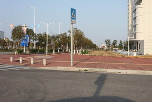 城市道路旁的景致