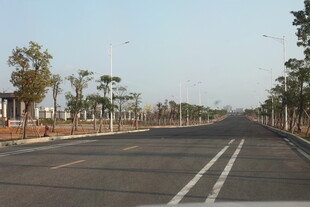 宽阔公路旁绿树成排