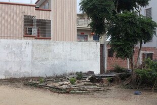 老旧墙边的绿植与杂物