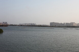 城市畔的宁静水域景观