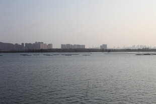 城市边的宽阔水域景观