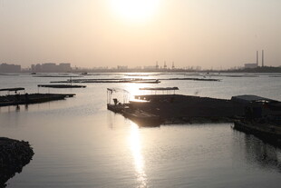 夕阳下的宁静港湾