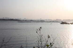 夕阳下波光粼粼的水面