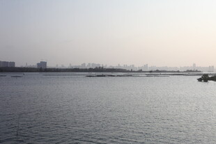 平静湖面与远处城市景观