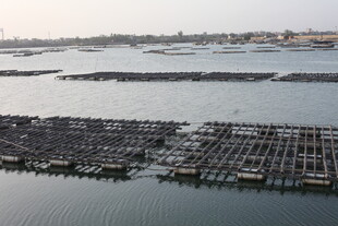 海上养殖区俯瞰