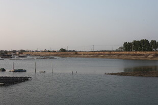 宁静河畔自然风光