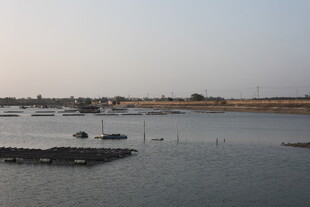 宁静水边的水上设施景观