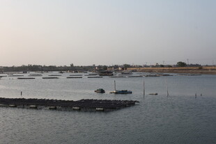 宁静港湾中的停泊船只