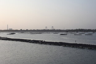 海滨风光 宁静水域景象