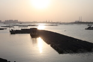 夕阳下的宁静港口景象