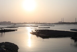 夕阳下平静的码头水域