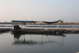 水上古船 静谧码头景象