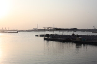 黄昏下宁静的码头景象