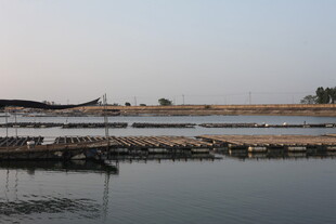 宁静水边码头风景