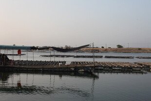 宁静水边码头景象