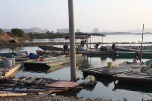 湖畔停泊的各式船只