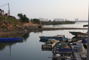 宁静河畔停泊的船只