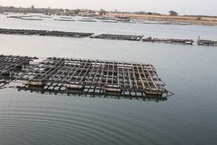 海上养殖浮排景观