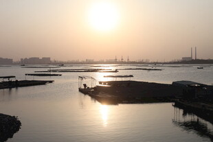 夕阳下的宁静水域景观
