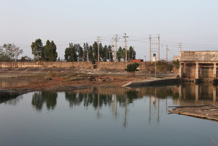 河畔风景 远处桥梁与树木