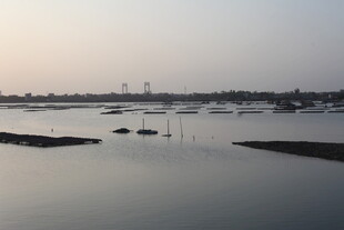 黄昏下的宁静水域景象