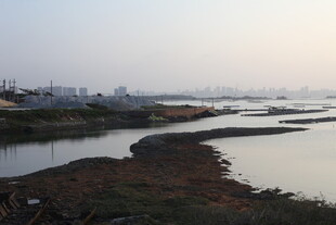 河畔风光 宁静的水域景色