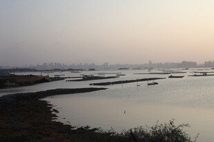 黄昏下的宁静水域景观