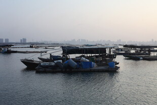 港口停泊的船只景象