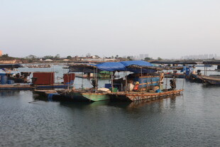 水上停泊的多彩船只