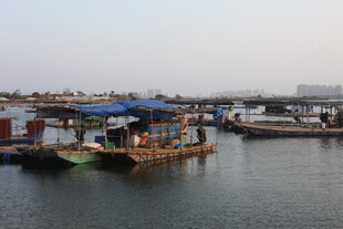 水上停泊的特色船只景观