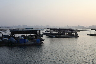 水上码头船只停泊景象