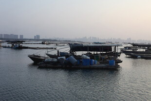 港湾停泊的渔船