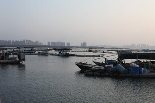海港停泊的船只景象