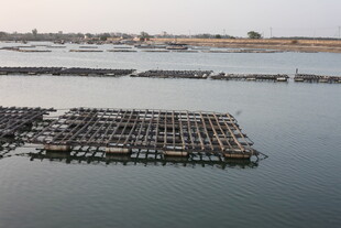 水上养殖设施场景