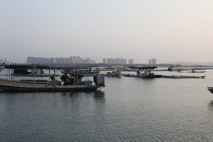 宁静海港的船只停泊景象