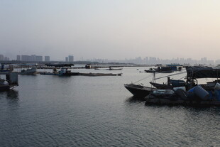海港停泊船只景观