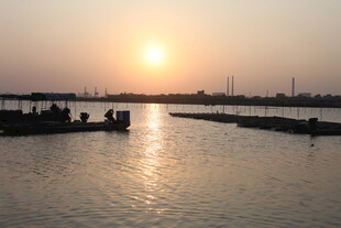 夕阳下的河畔美景