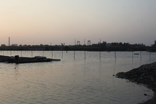 黄昏时分的宁静河岸景色