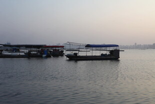 港口停泊的船只