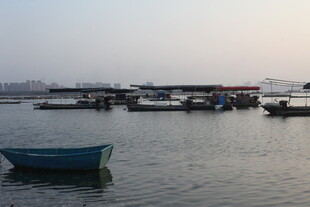 宁静港湾的停泊小船