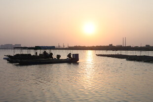 夕阳下的水上船只景象