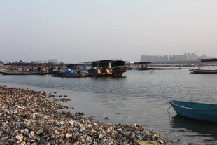 河畔船只停靠的宁静景象