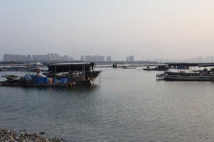 江边停泊的船只