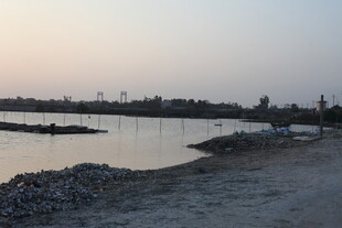 黄昏下的宁静水边景色