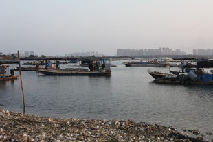 港口停泊的船只景象