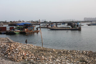 宁静港湾中的停泊船只