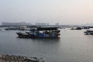 江边停泊的多艘船只