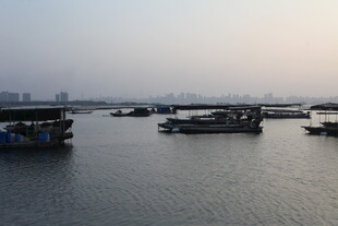 海上停泊的多艘船只