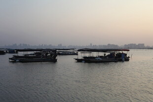 水面停泊的带篷船只