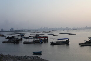 江边停泊的众多船只